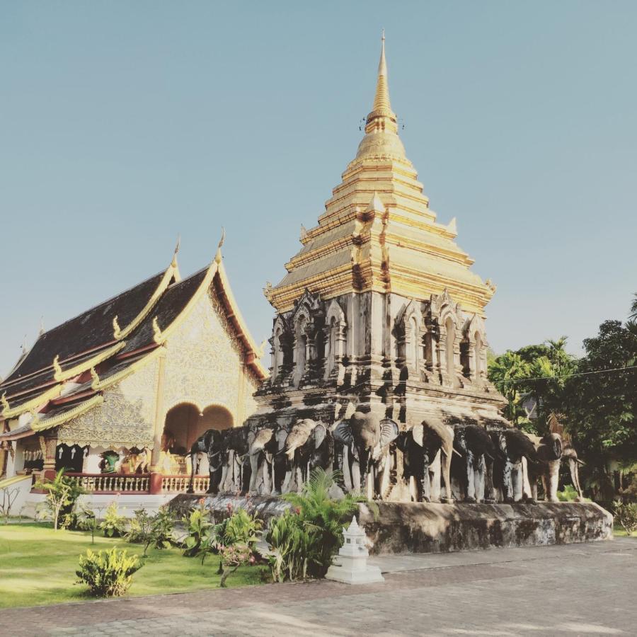 Pinghostel (Adults Only) Chiang Mai Buitenkant foto
